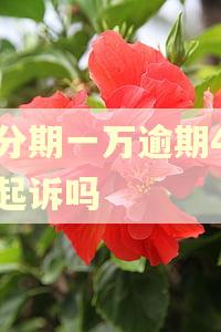 来分期一万逾期4年会起诉吗