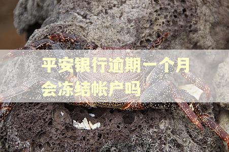 平安银行逾期一个月会冻结帐户吗