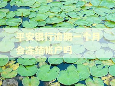 平安银行逾期一个月会冻结帐户吗