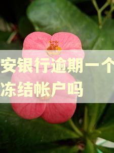 平安银行逾期一个月会冻结帐户吗