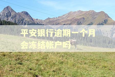 平安银行逾期一个月会冻结帐户吗 平安银行逾期一个月会冻结帐户吗