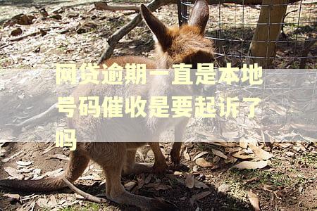 网贷逾期一直是本地号码催收是要起诉了吗