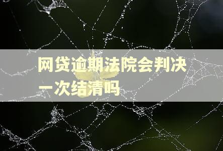 网贷逾期法院会判决一次结清吗