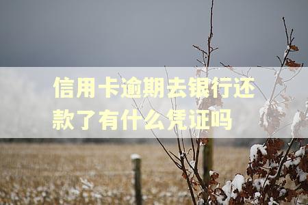 信用卡逾期去银行还款了有什么凭证吗