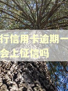 工行信用卡逾期一小时会上征信吗