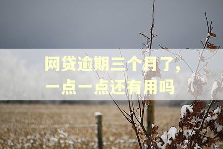网贷逾期三个月了,一点一点还有用吗