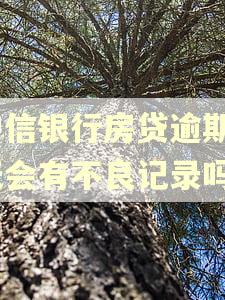 中信银行房贷逾期4天会有不良记录吗 中信银行房贷逾期4天会有不良记录吗