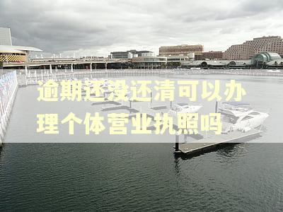 逾期还没还清可以办理个体营业执照吗
