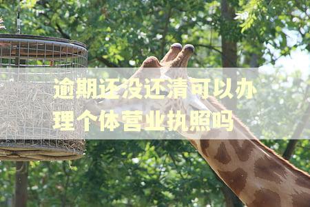 逾期还没还清可以办理个体营业执照吗 逾期还没还清可以办理个体营业执照吗