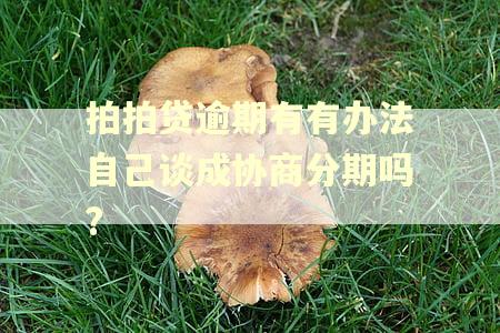拍拍贷逾期有有办法自己谈成协商分期吗?