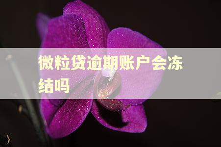 微粒贷逾期账户会冻结吗