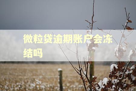 微粒贷逾期账户会冻结吗