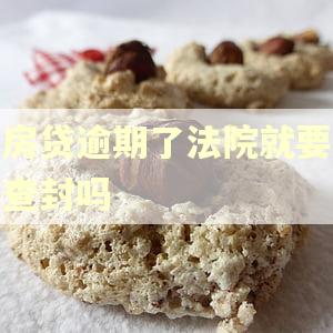 房贷逾期了法院就要查封吗