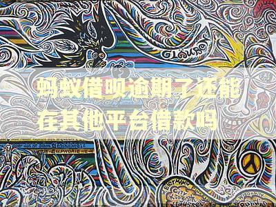 蚂蚁借呗逾期了还能在其他平台借款吗 蚂蚁借呗逾期了还能在其他平台借款吗