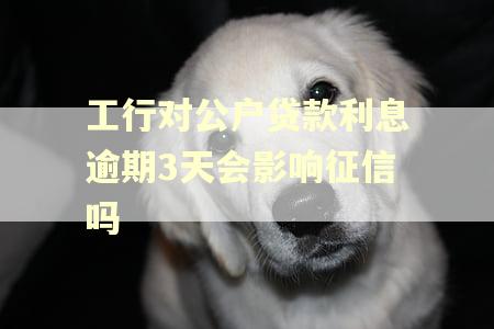 工行对公户贷款利息逾期3天会影响征信吗