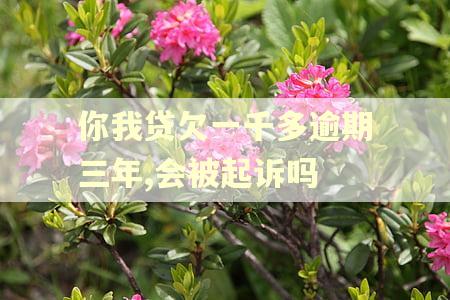 你我贷欠一千多逾期三年,会被起诉吗
