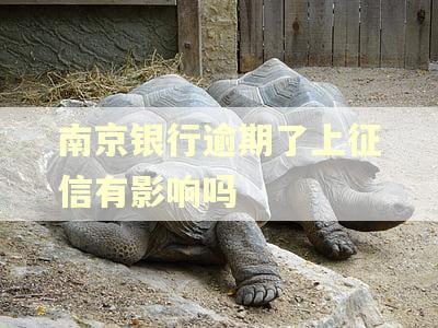 南京银行逾期了上征信有影响吗