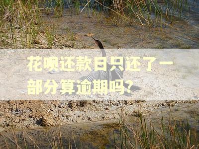 花呗还款日只还了一部分算逾期吗?