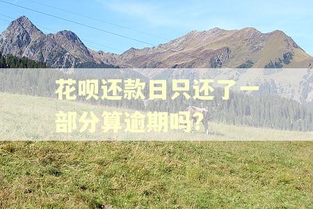 花呗还款日只还了一部分算逾期吗?