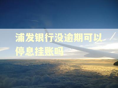 浦发银行没逾期可以停息挂账吗