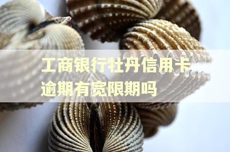 工商银行牡丹信用卡逾期有宽限期吗