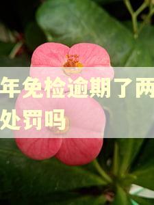 两年免检逾期了两天会处罚吗