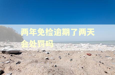 两年免检逾期了两天会处罚吗