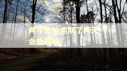 两年免检逾期了两天会处罚吗
