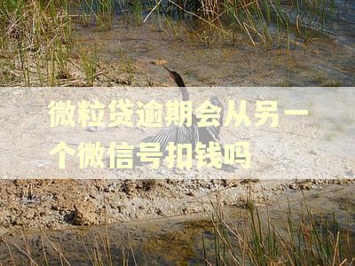 微粒贷逾期会从另一个微信号扣钱吗