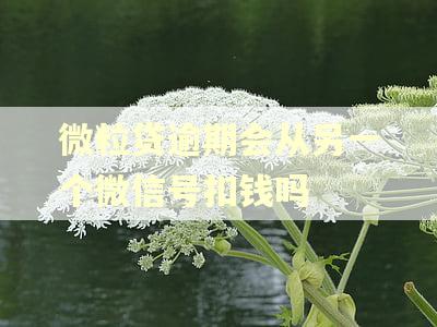 微粒贷逾期会从另一个微信号扣钱吗 微粒贷逾期会从另一个微信号扣钱吗
