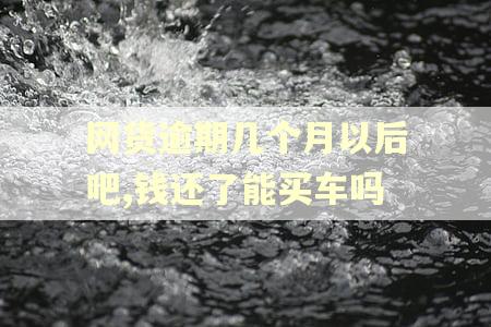 网货逾期几个月以后吧,钱还了能买车吗
