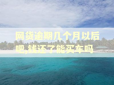 网货逾期几个月以后吧,钱还了能买车吗