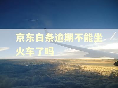 京东白条逾期不能坐火车了吗