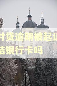 支付贷逾期被起诉会冻结银行卡吗
