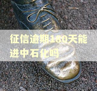 征信逾期180天能进中石化吗