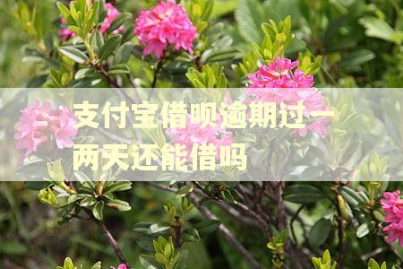 支付宝借呗逾期过一两天还能借吗