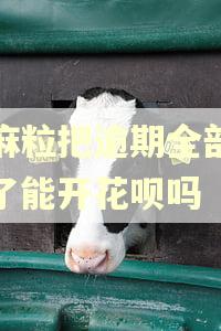 芝麻粒把逾期全部修复了能开花呗吗