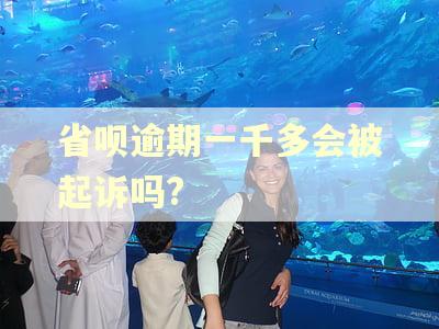 省呗逾期一千多会被起诉吗?