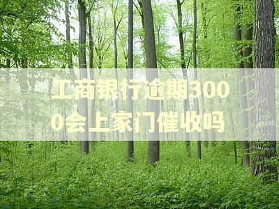 工商银行逾期3000会上家门催收吗