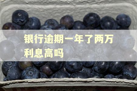 银行逾期一年了两万利息高吗