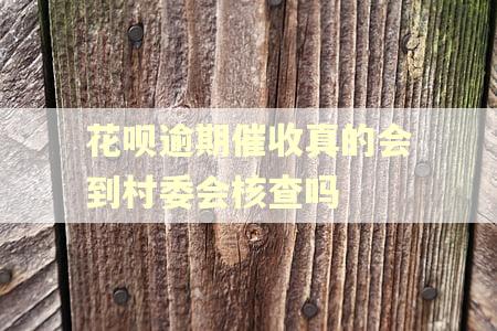 花呗逾期催收真的会到村委会核查吗