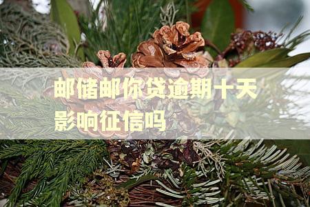 邮储邮你贷逾期十天影响征信吗