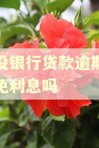 建设银行贷款逾期能减免利息吗 建设银行贷款逾期能减免利息吗