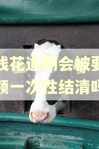 有钱花逾期会被要求全额一次性结清吗