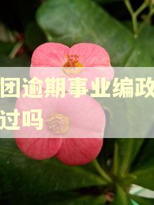 美团逾期事业编政审能过吗