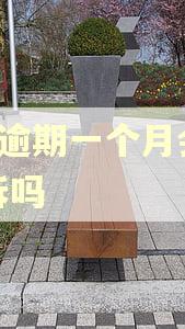 7万逾期一个月会被起诉吗