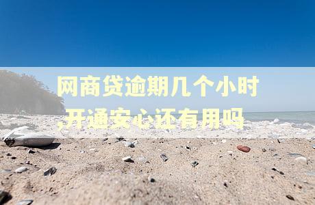 网商贷逾期几个小时,开通安心还有用吗