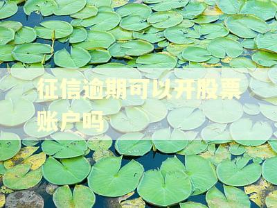 征信逾期可以开股票账户吗