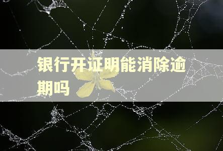 银行开证明能消除逾期吗