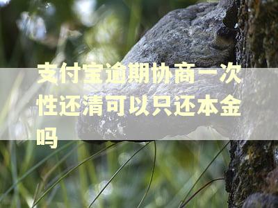 支付宝逾期协商一次性还清可以只还本金吗
